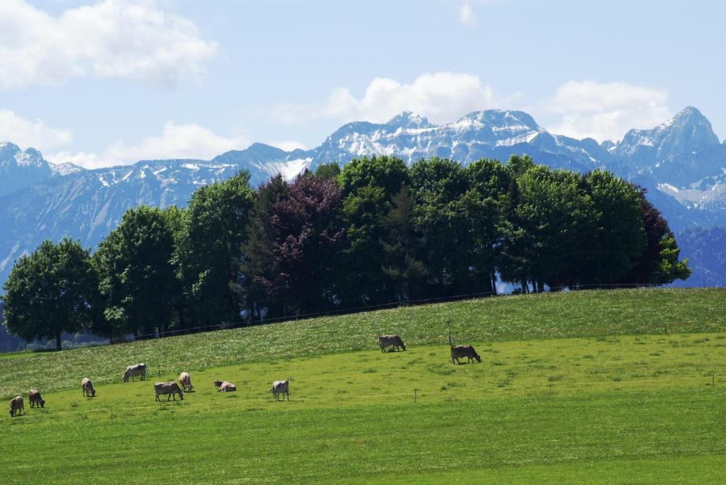 Landhaus Grobert Seeg Exteriér fotografie