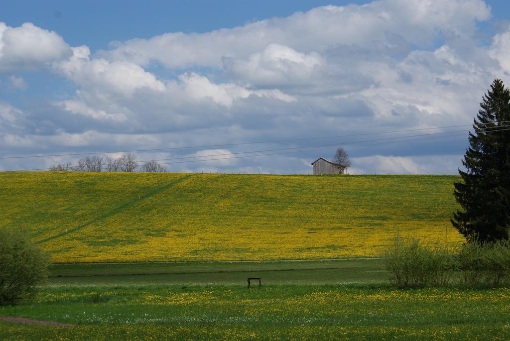 Landhaus Grobert Seeg Exteriér fotografie